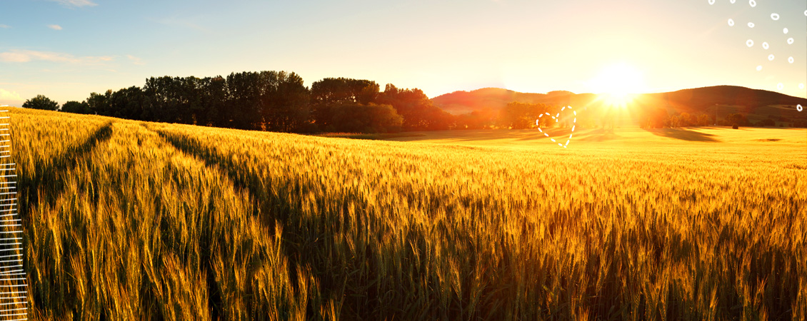 impressum-8d4b6029075797d1355876bf83281712