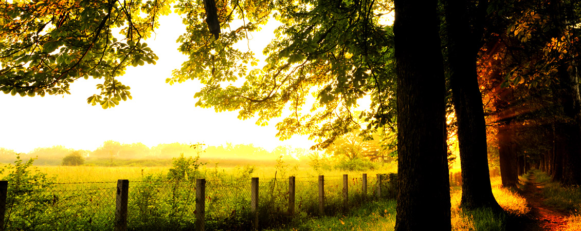 ueber-87ad6aa3b2d5e4aa7daf546a0805d209